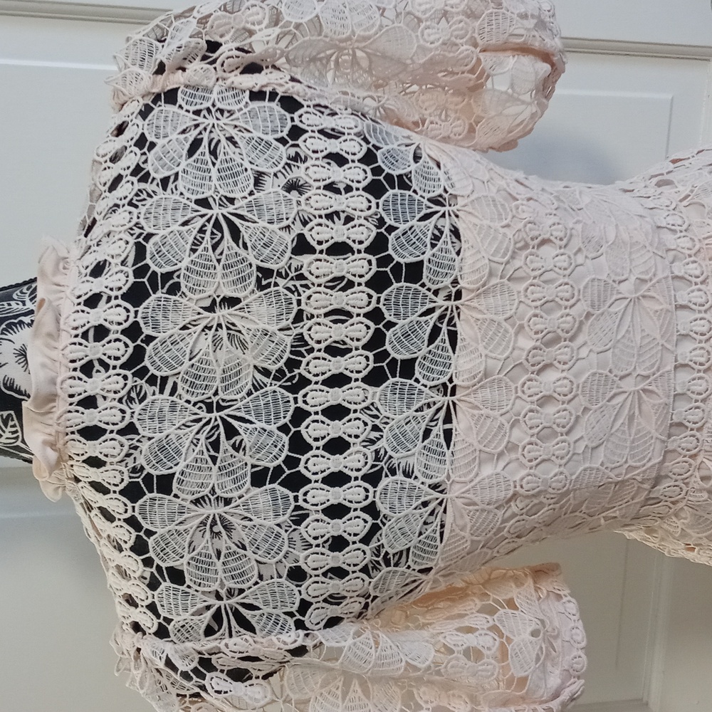 🆕️ 🍑Antonio Melani🍑 - Bruna Peachy Blossom Lace Button-Front Dress - Picture 8 of 16